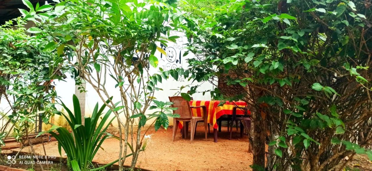 Sigiri Picaso Home Stay Sigiriya Luaran gambar