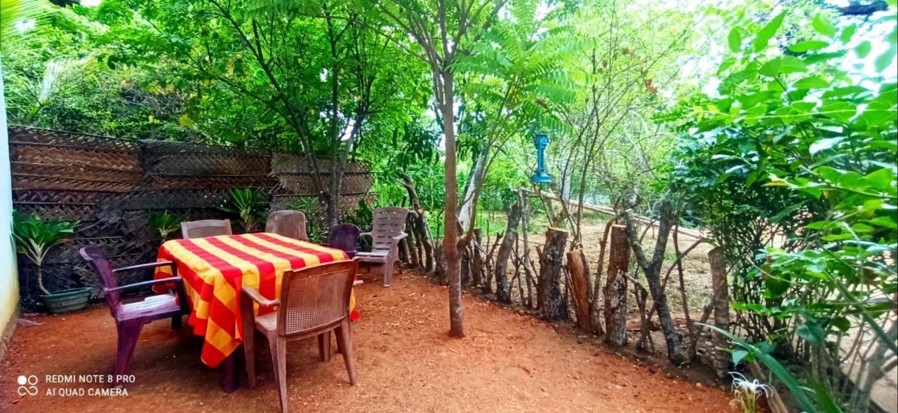 Sigiri Picaso Home Stay Sigiriya Luaran gambar