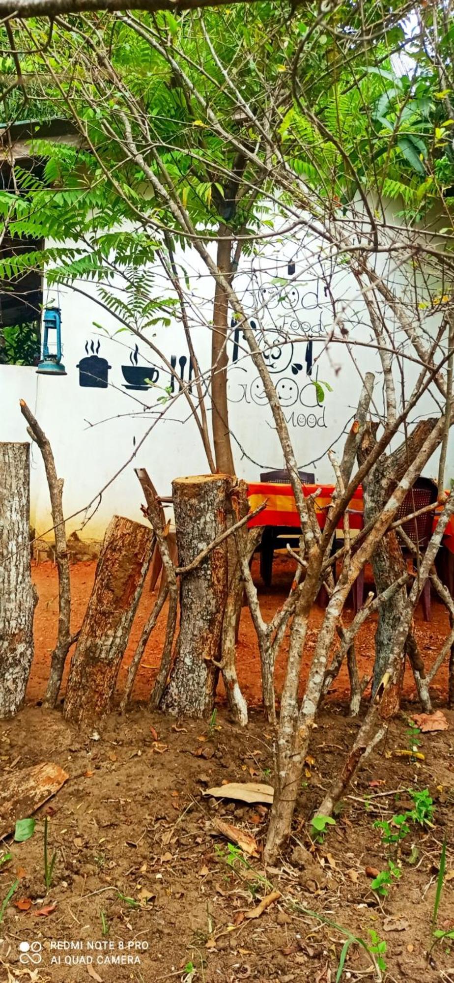 Sigiri Picaso Home Stay Sigiriya Luaran gambar