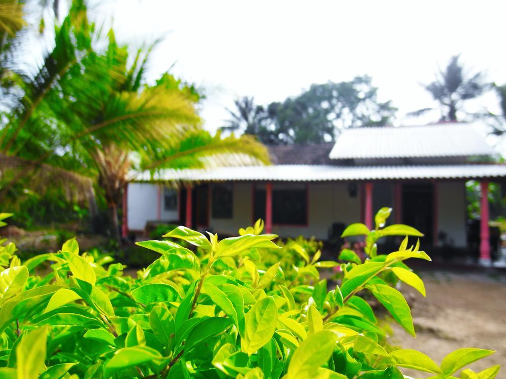 Sigiri Picaso Home Stay Sigiriya Luaran gambar