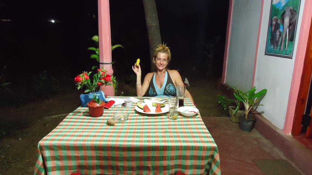 Sigiri Picaso Home Stay Sigiriya Luaran gambar