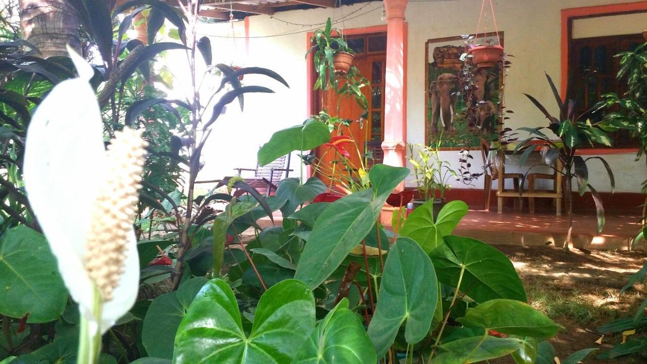 Sigiri Picaso Home Stay Sigiriya Luaran gambar