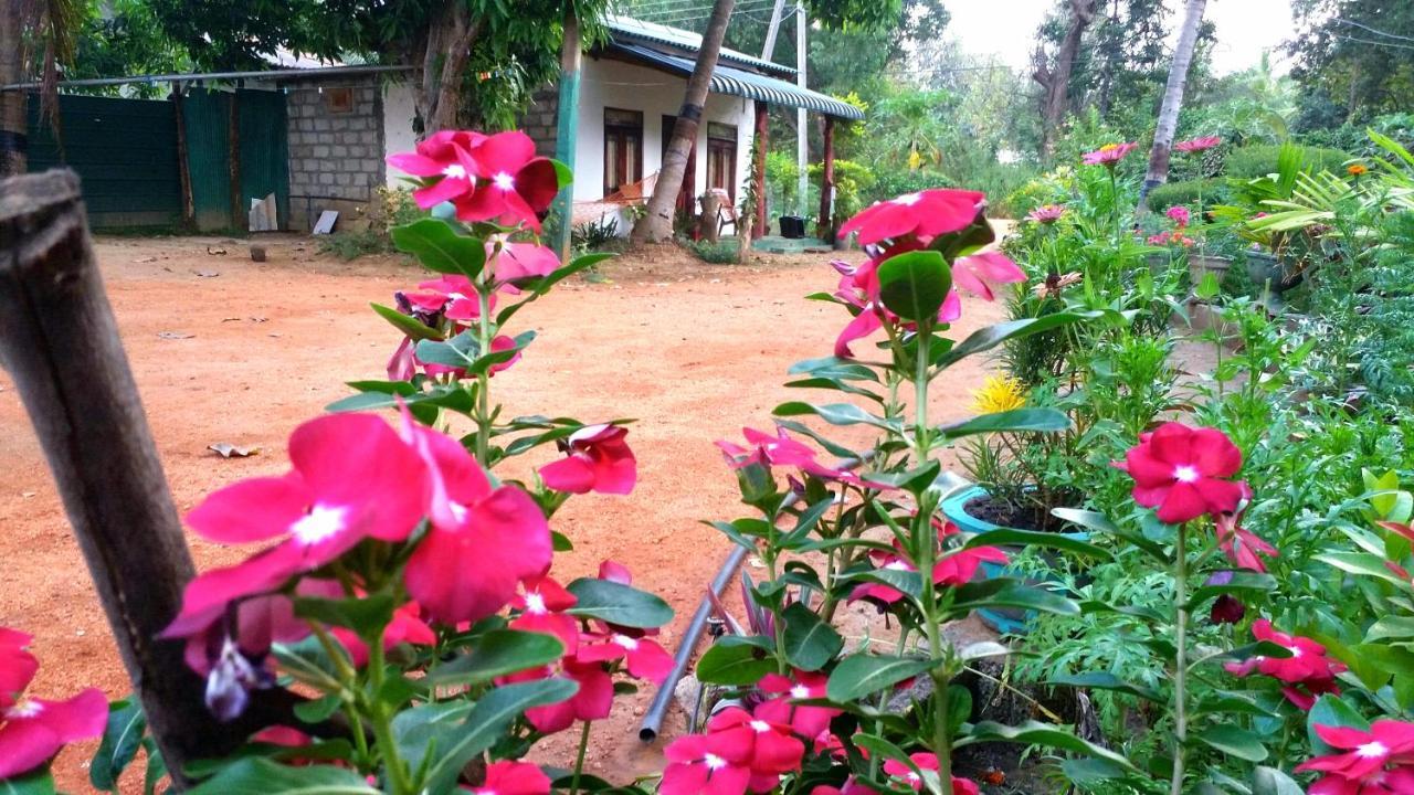 Sigiri Picaso Home Stay Sigiriya Luaran gambar