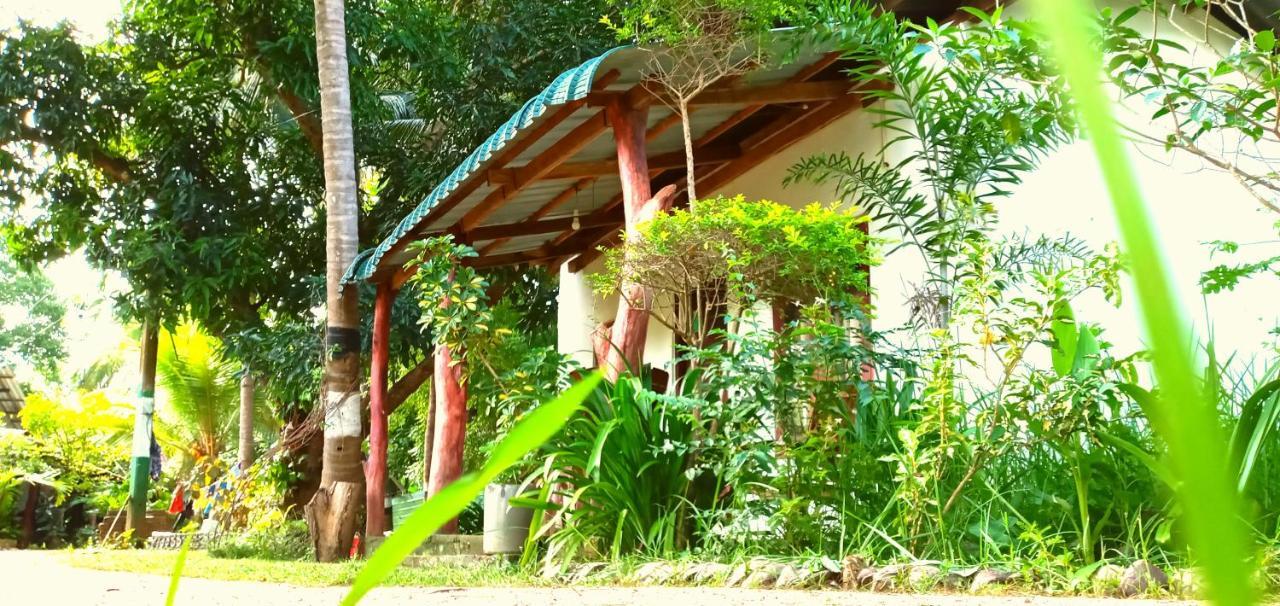 Sigiri Picaso Home Stay Sigiriya Luaran gambar