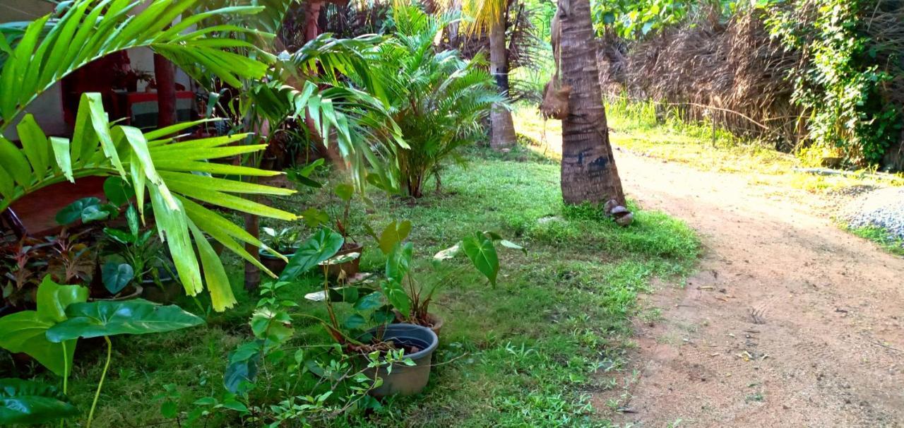 Sigiri Picaso Home Stay Sigiriya Luaran gambar