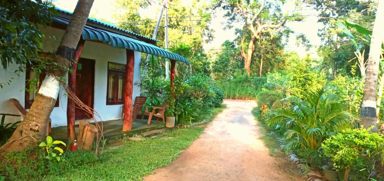 Sigiri Picaso Home Stay Sigiriya Luaran gambar
