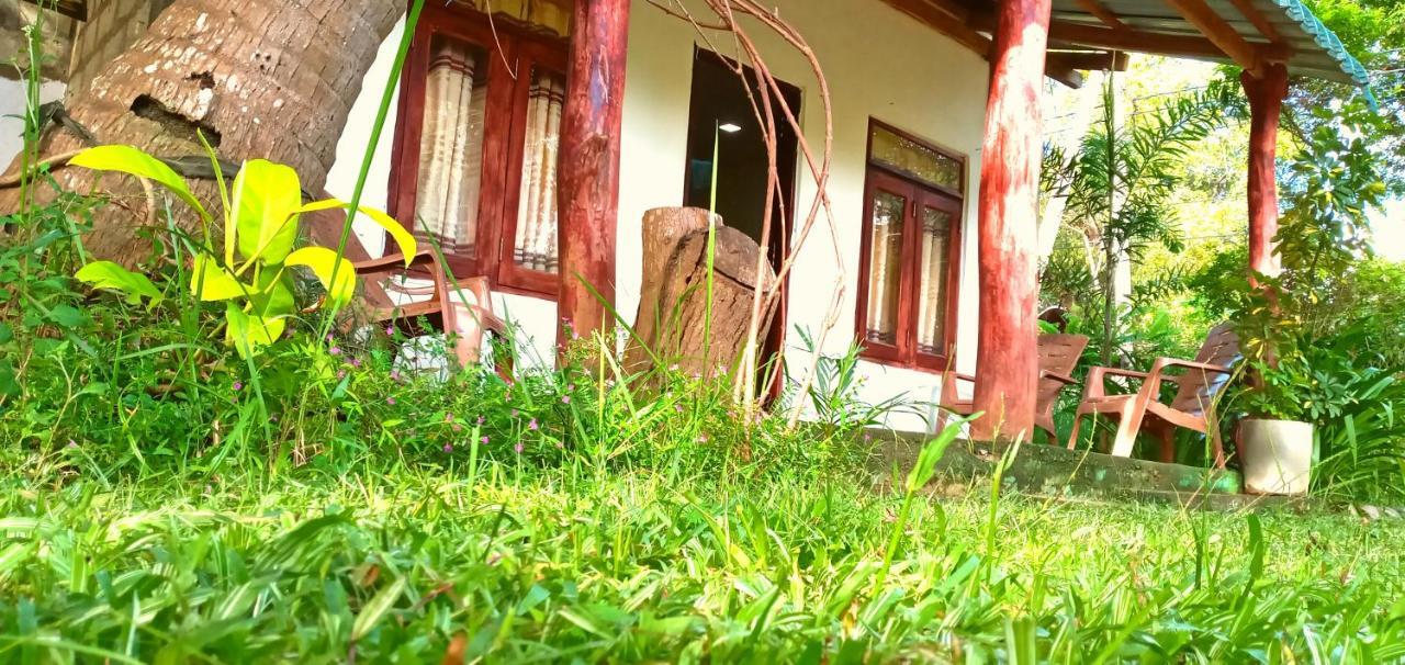 Sigiri Picaso Home Stay Sigiriya Luaran gambar